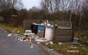 К чему может привести не вывезенные своевременно бытовые отходы из контейнеров?