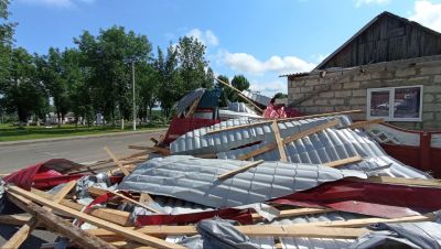 В Холопеничах организованно устраняют последствия вчерашнего урагана (фото)