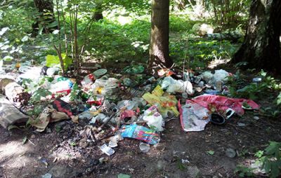 Оставляя мусор в лесу, граждане наносят вред окружающей среде