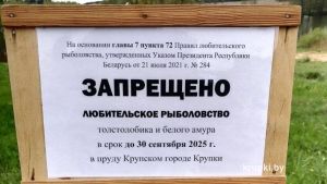 Лов толстолобика и белого амура в водохранилище Крупское запрещен до 30 сентября 2025 г.
