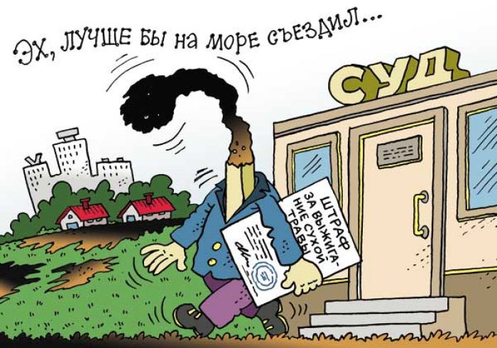 МЧС напоминает: в Беларуси выжигание сухой растительности запрещено законом