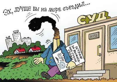 МЧС напоминает: в Беларуси выжигание сухой растительности запрещено законом